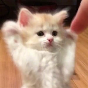 Ảnh đại diện Phương Anh